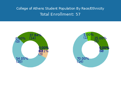 College of Athens 2025 Student Population by Gender and Race chart
