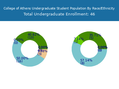 College of Athens 2025 Undergraduate Enrollment by Gender and Race chart