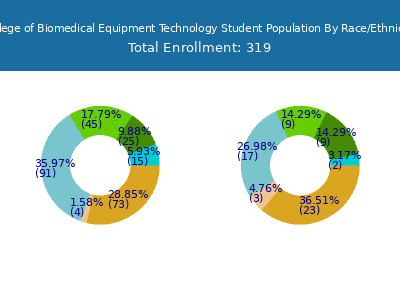 College of Biomedical Equipment Technology 2025 Student Population by Gender and Race chart
