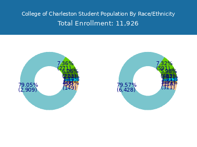 College of Charleston 2025 Student Population by Gender and Race chart
