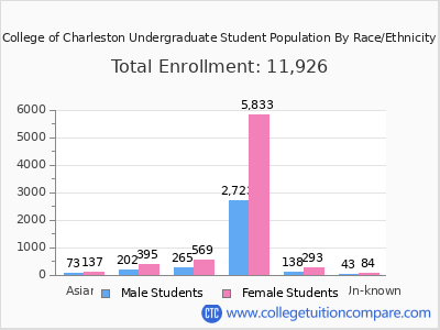 College of Charleston 2025 Undergraduate Enrollment by Gender and Race chart