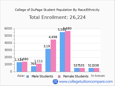 College of DuPage 2025 Student Population by Gender and Race chart