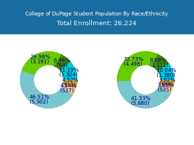 College of DuPage 2025 Student Population by Gender and Race chart
