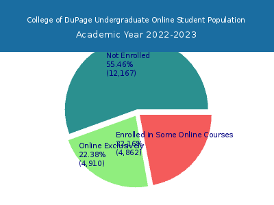 College of DuPage 2023 Online Student Population chart