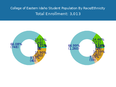 College of Eastern Idaho 2025 Student Population by Gender and Race chart