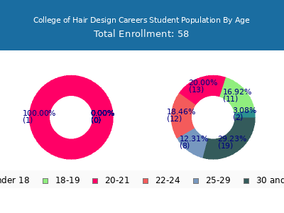 College of Hair Design Careers 2024 Student Population Age Diversity Pie chart