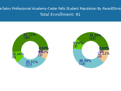 The Salon Professional Academy-Cedar Falls 2025 Student Population by Gender and Race chart