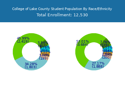 College of Lake County 2025 Student Population by Gender and Race chart