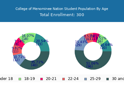 College of Menominee Nation 2025 Student Population Age Diversity Pie chart