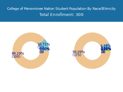 College of Menominee Nation 2025 Student Population by Gender and Race chart