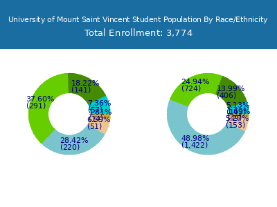 University of Mount Saint Vincent 2025 Student Population by Gender and Race chart