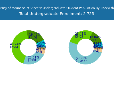University of Mount Saint Vincent 2025 Undergraduate Enrollment by Gender and Race chart
