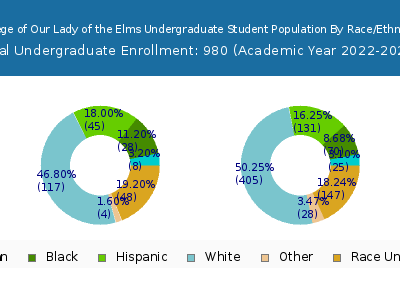 College of Our Lady of the Elms 2023 Undergraduate Enrollment by Gender and Race chart