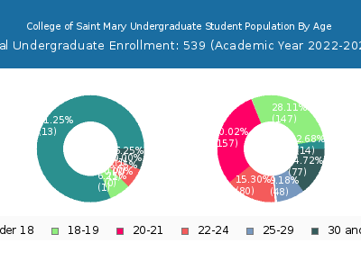 College of Saint Mary 2023 Undergraduate Enrollment Age Diversity Pie chart