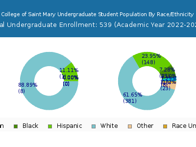 College of Saint Mary 2023 Undergraduate Enrollment by Gender and Race chart