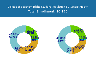 College of Southern Idaho 2025 Student Population by Gender and Race chart