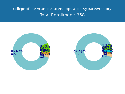 College of the Atlantic 2025 Student Population by Gender and Race chart