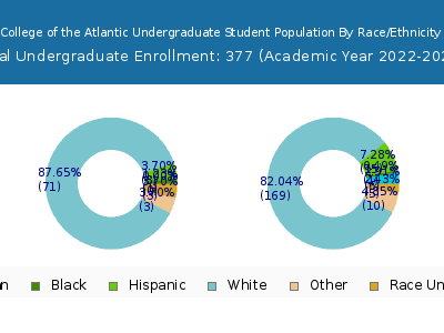 College of the Atlantic 2023 Undergraduate Enrollment by Gender and Race chart