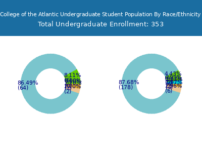 College of the Atlantic 2025 Undergraduate Enrollment by Gender and Race chart
