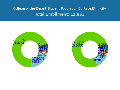 College of the Desert 2025 Student Population by Gender and Race chart