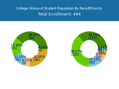 College Unbound 2025 Student Population by Gender and Race chart