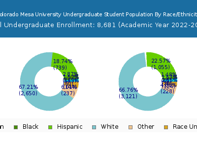 Colorado Mesa University 2023 Undergraduate Enrollment by Gender and Race chart