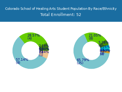 Colorado School of Healing Arts 2025 Student Population by Gender and Race chart