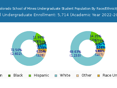 Colorado School of Mines 2023 Undergraduate Enrollment by Gender and Race chart