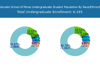 Colorado School of Mines 2025 Undergraduate Enrollment by Gender and Race chart