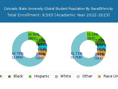 Colorado State University Global 2023 Student Population by Gender and Race chart