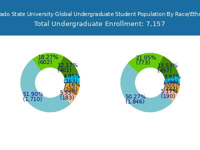 Colorado State University Global 2025 Undergraduate Enrollment by Gender and Race chart