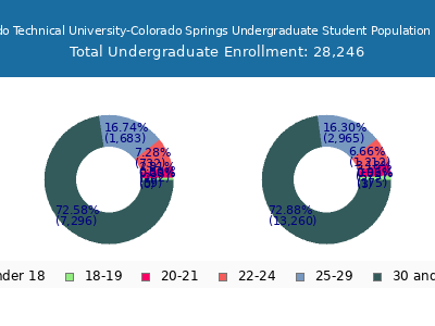 Colorado Technical University-Colorado Springs 2025 Undergraduate Enrollment Age Diversity Pie chart