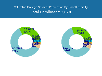 Columbia College 2025 Student Population by Gender and Race chart