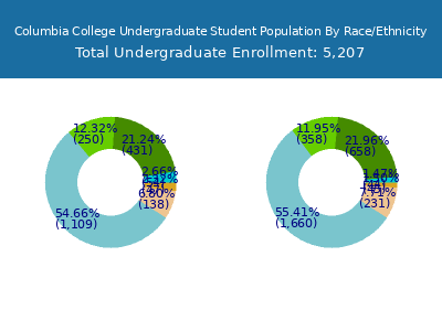 Columbia College 2025 Undergraduate Enrollment by Gender and Race chart