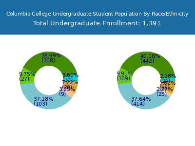 Columbia College 2025 Undergraduate Enrollment by Gender and Race chart