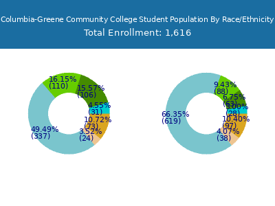 Columbia-Greene Community College 2025 Student Population by Gender and Race chart