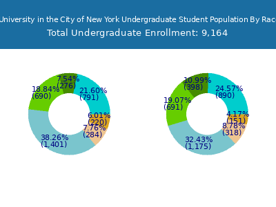Columbia University in the City of New York 2025 Undergraduate Enrollment by Gender and Race chart