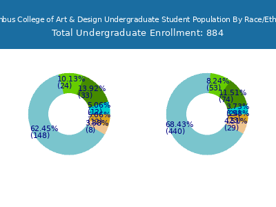 Columbus College of Art & Design 2025 Undergraduate Enrollment by Gender and Race chart