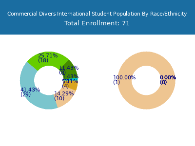 Commercial Divers International 2025 Student Population by Gender and Race chart