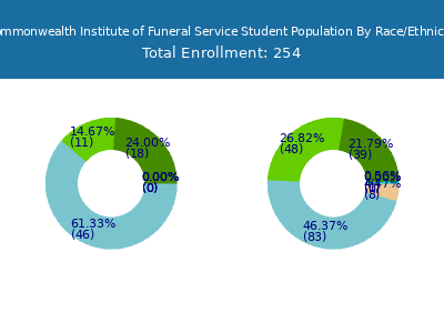 Commonwealth Institute of Funeral Service 2025 Student Population by Gender and Race chart