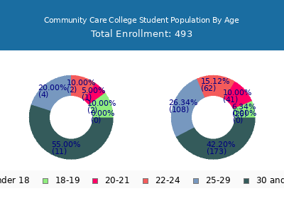 Community Care College 2024 Student Population Age Diversity Pie chart
