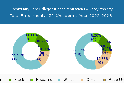Community Care College 2023 Student Population by Gender and Race chart