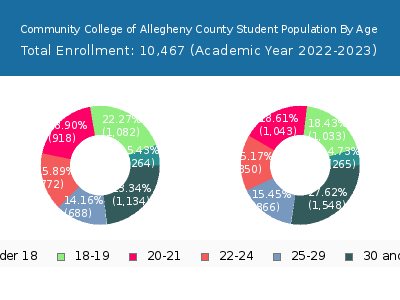 Community College of Allegheny County 2023 Student Population Age Diversity Pie chart
