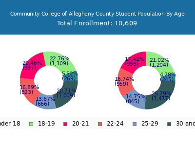 Community College of Allegheny County 2025 Student Population Age Diversity Pie chart