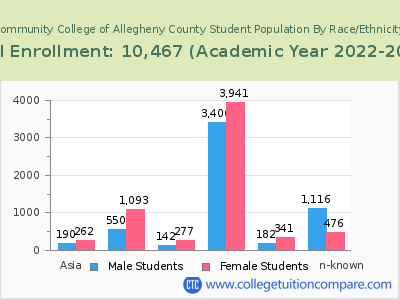 Community College of Allegheny County 2023 Student Population by Gender and Race chart