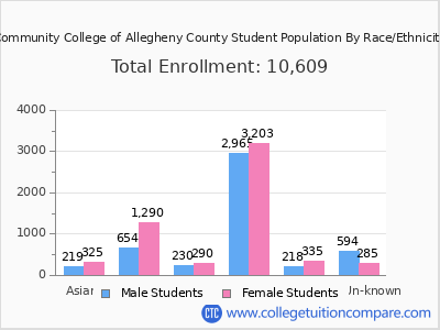 Community College of Allegheny County 2025 Student Population by Gender and Race chart