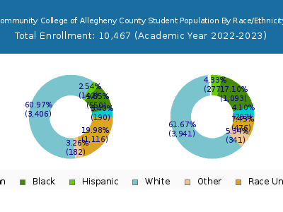 Community College of Allegheny County 2023 Student Population by Gender and Race chart
