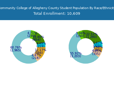 Community College of Allegheny County 2025 Student Population by Gender and Race chart
