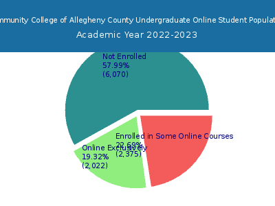 Community College of Allegheny County 2023 Online Student Population chart