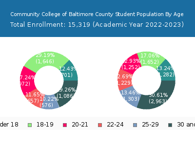 Community College of Baltimore County 2023 Student Population Age Diversity Pie chart